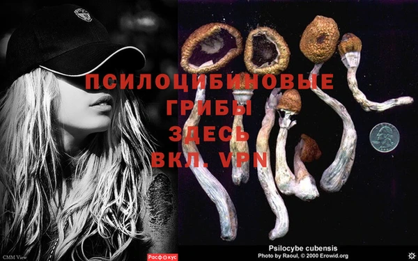 кокаин перу Новокубанск