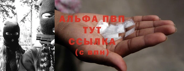 a pvp Новозыбков