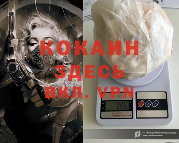 a pvp Новозыбков