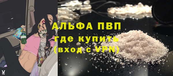 a pvp Новозыбков